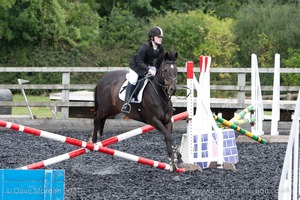 Class 3 -  Fences not above 2'3